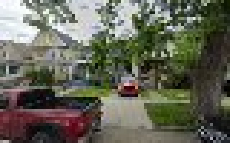 Tree Bolt Tree Care