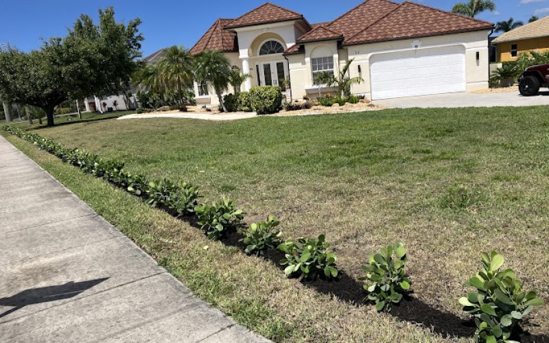 Clean View Tree Services