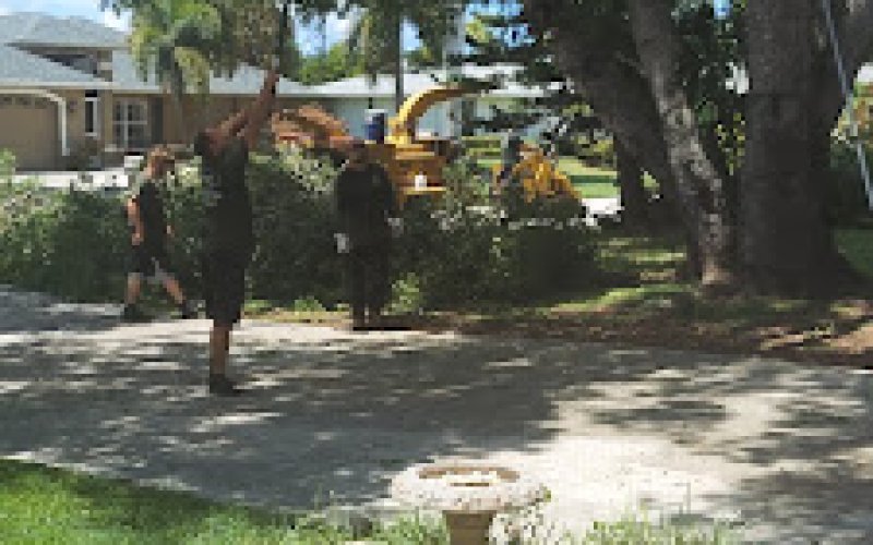 Tim's Tree Service