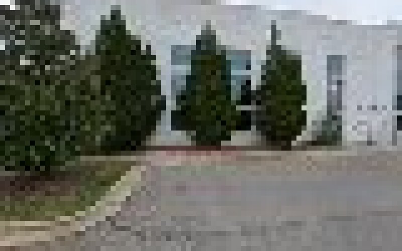 Cary Trees