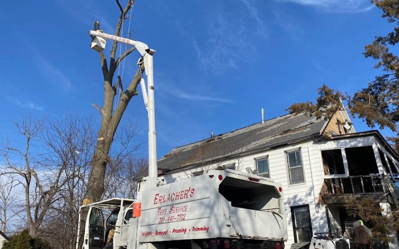 Erlacher's Tree Service.