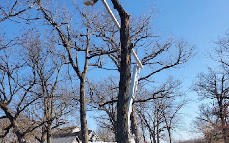 Sure Wood Tree Service of Cedar Rapids