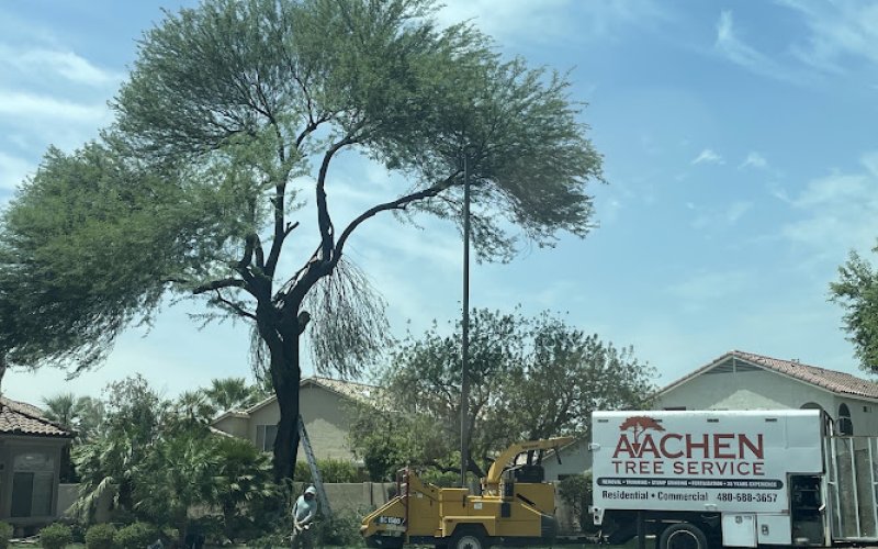 Aachen Tree Service