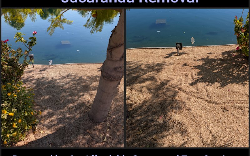 Affordable Stump and Tree Service