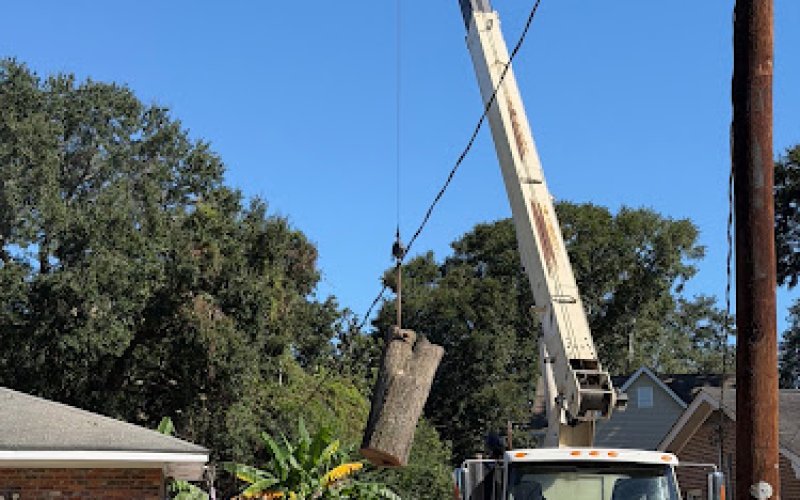 Heartwood Tree Care, LLC