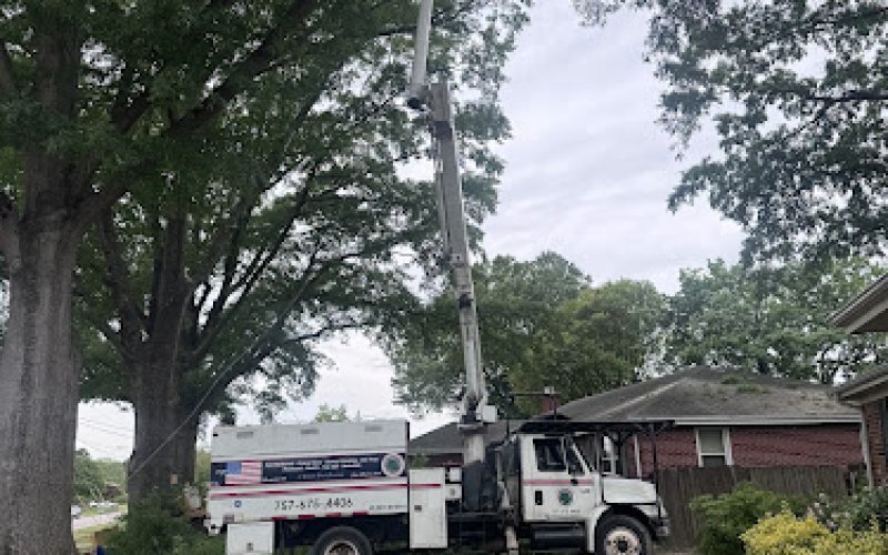 Dave’s Cove Complete Tree Care — Tree service in Chesapeake