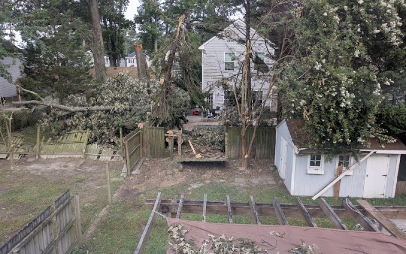 M & R Tree Service — Tree service in Chesapeake