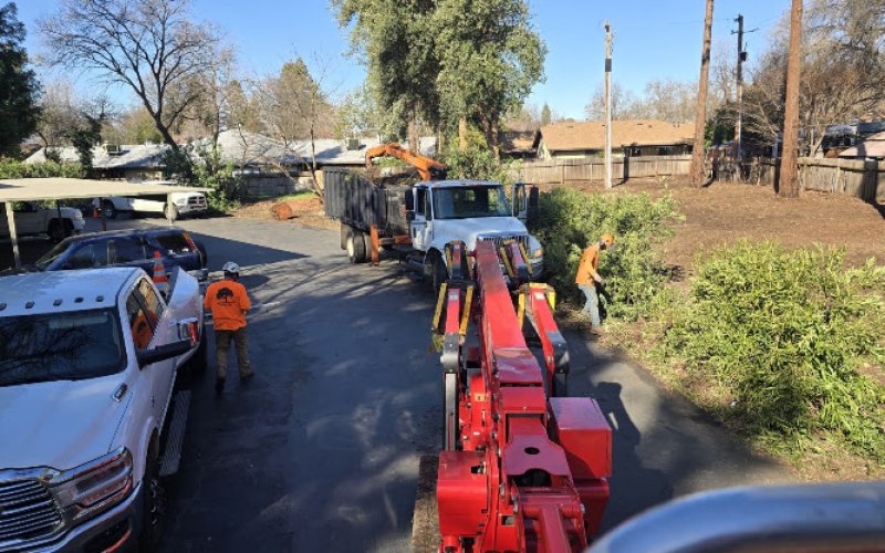 J & J Tree Service
