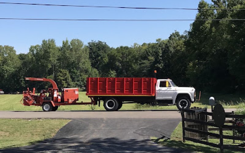 AAA Tree Care — Tree service in Clarksville