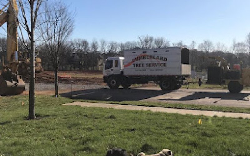 Cumberland Tree Service, LLC — Tree service in Clarksville