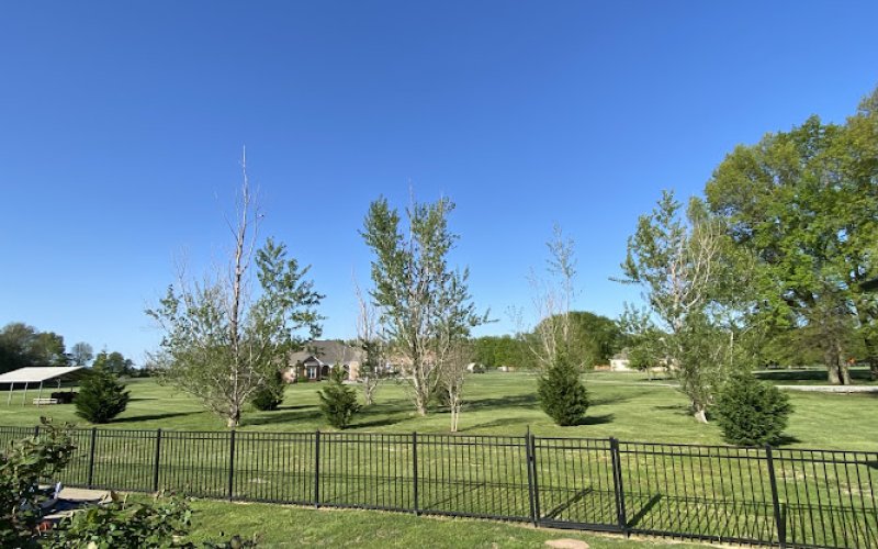 Hard Knot Tree & Stump Grinding — Tree service in Clarksville