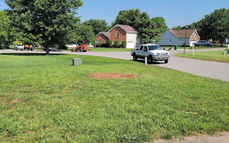 Highland Tree Service — Tree service in Clarksville