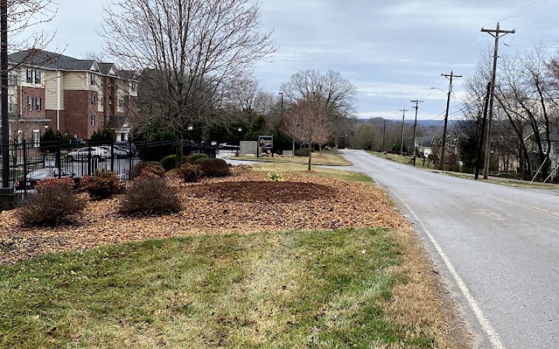 Key Stump Grinding — Tree service in Clarksville