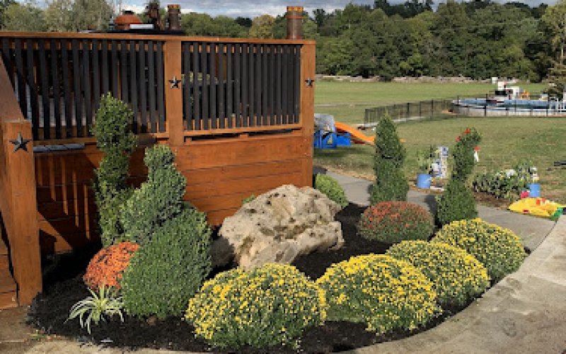 Southern Tree Care — Tree service in Clarksville