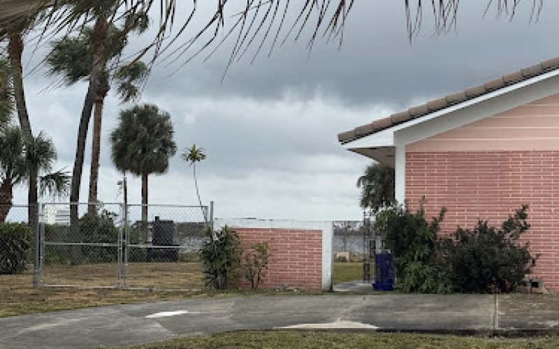 Expert Tree Services of Clearwater