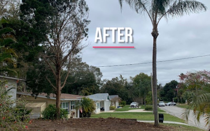 The Tree Barber Inc. Tree Service