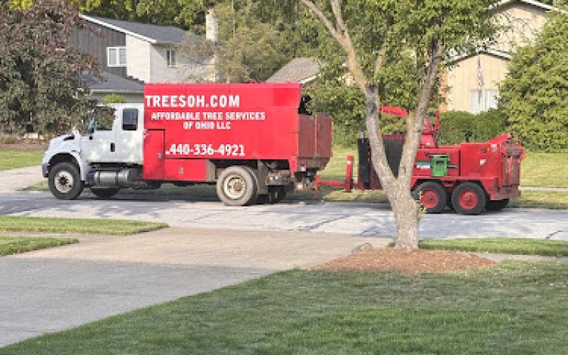 Affordable Tree Services of Ohio LLC