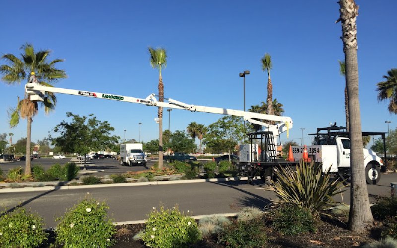Cordova's Tree Service