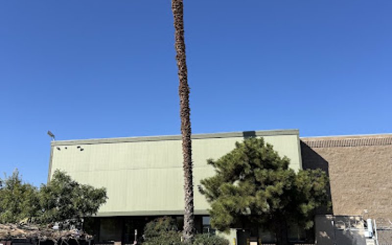 Forrest Wood Tree Service