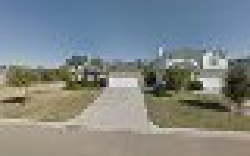 Green Tree Service of College Station. — Tree service in College Station