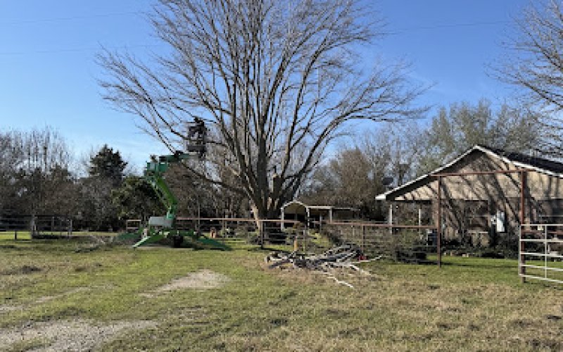 S & T Tree Care — Tree service in College Station