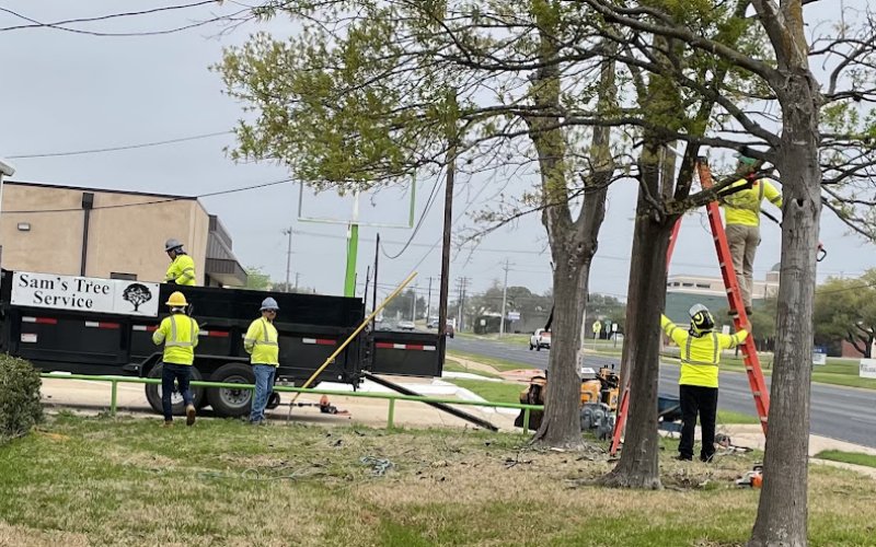 Sam's Tree Service — Tree service in College Station