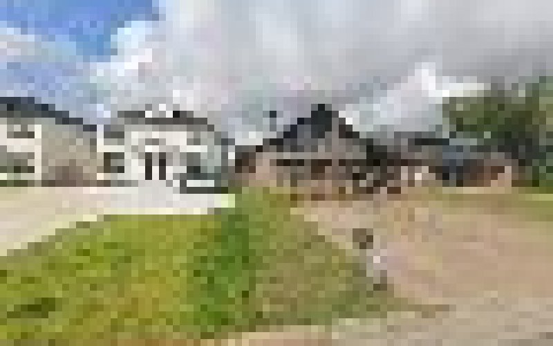 Up N Cut Tree Service — Tree service in College Station