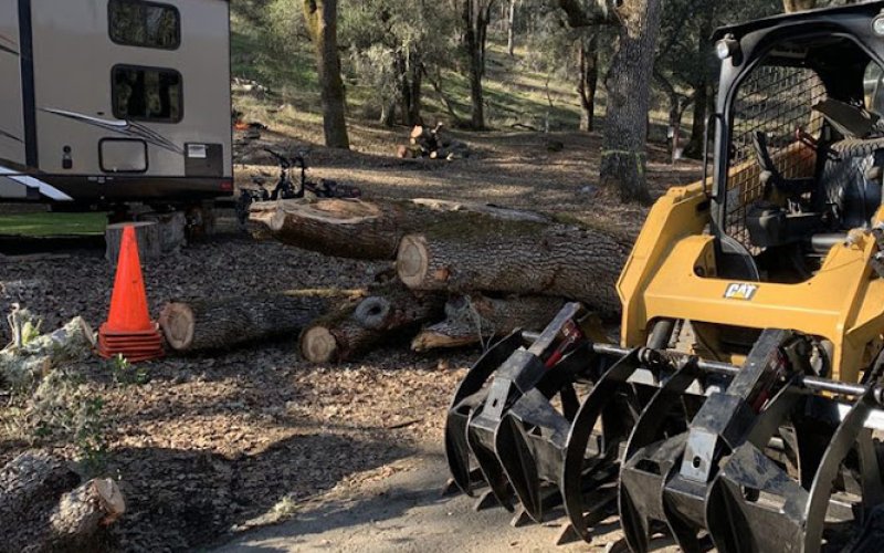 Precision Tree Care Inc.