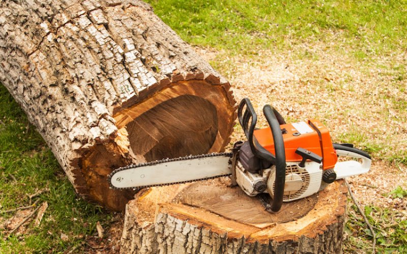 Urgent Tree Care