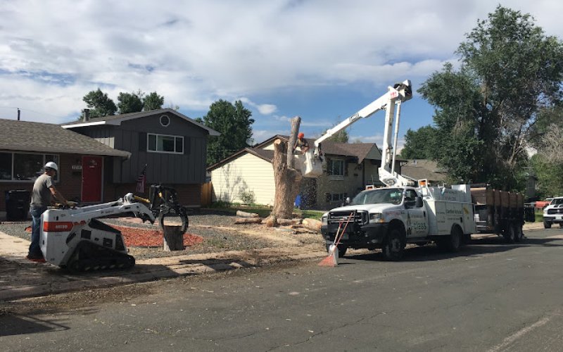 A-Class Tree Service LLC — Tree service in Colorado Springs