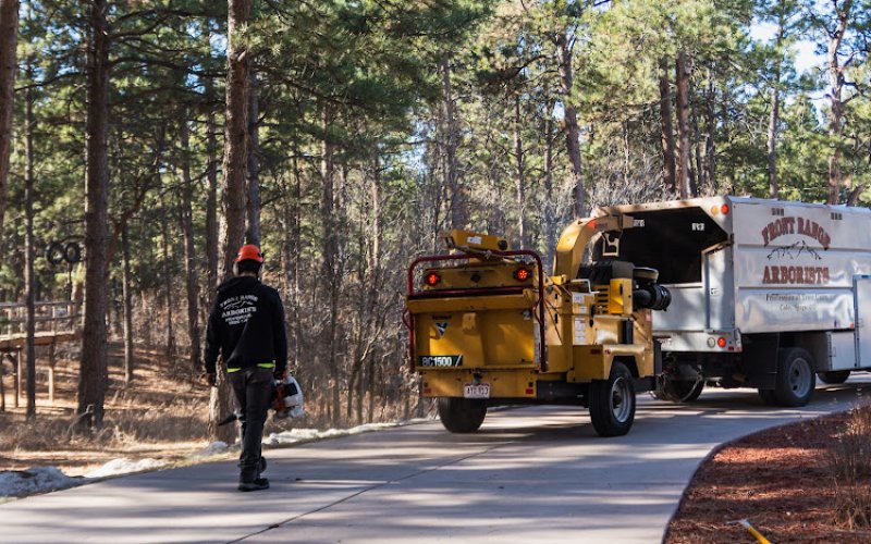 Front Range Arborists — Tree service in Colorado Springs