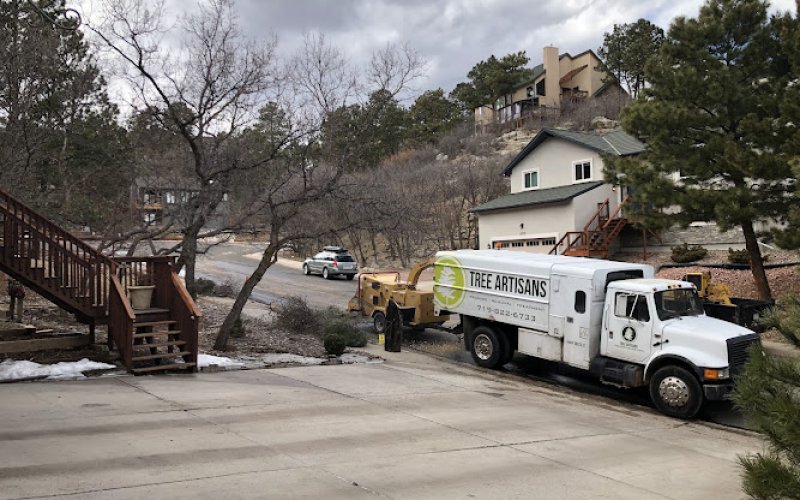 Tree Artisans — Tree service in Colorado Springs
