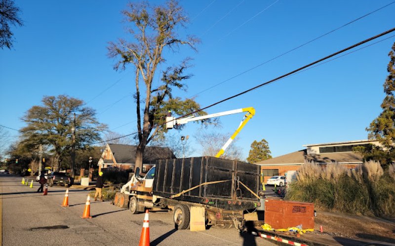 Expert Tree Care LLC — Tree service in Columbia