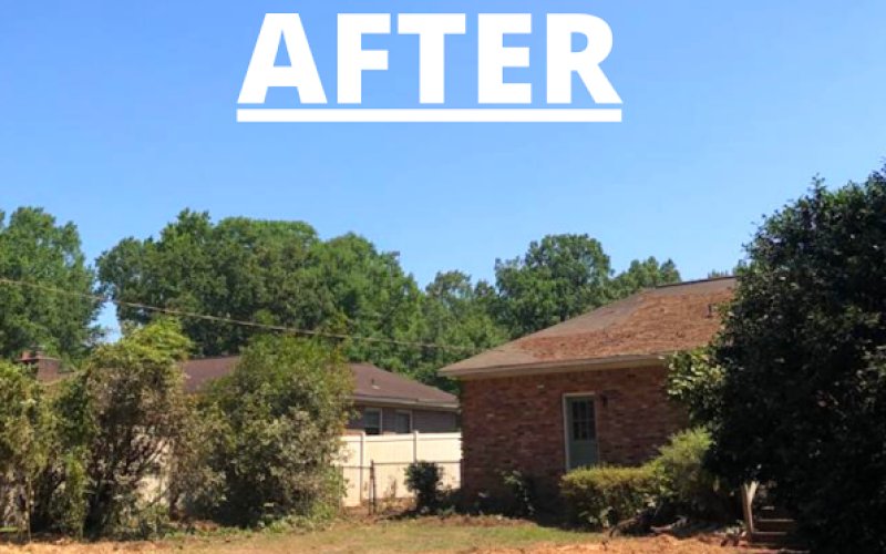 Gaycas Tree Services Columbia South Carolina — Tree service in Columbia