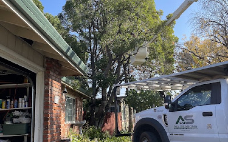Atlas Tree Service Inc.