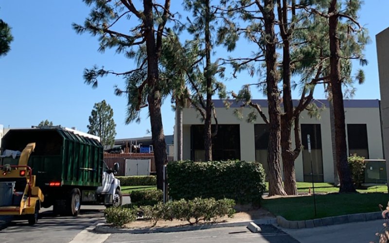 Melendez Tree Service