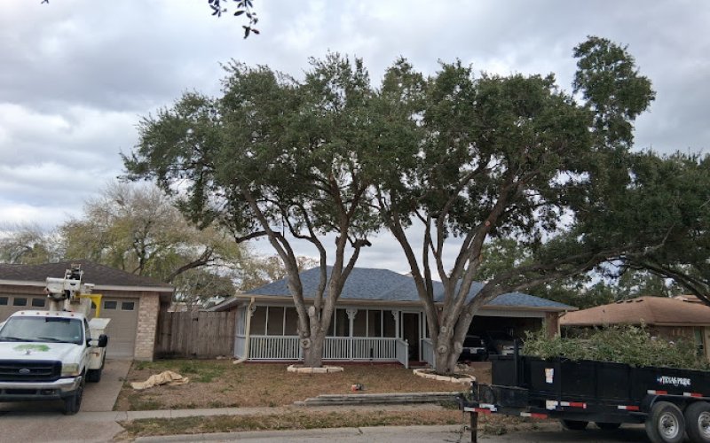 Arbortex Tree Service