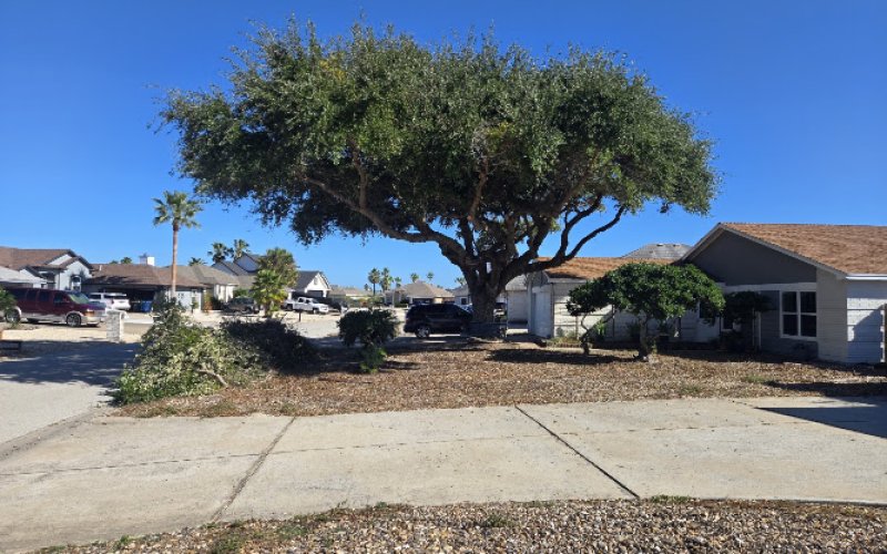Kalbfleisch and Sons Tree Service