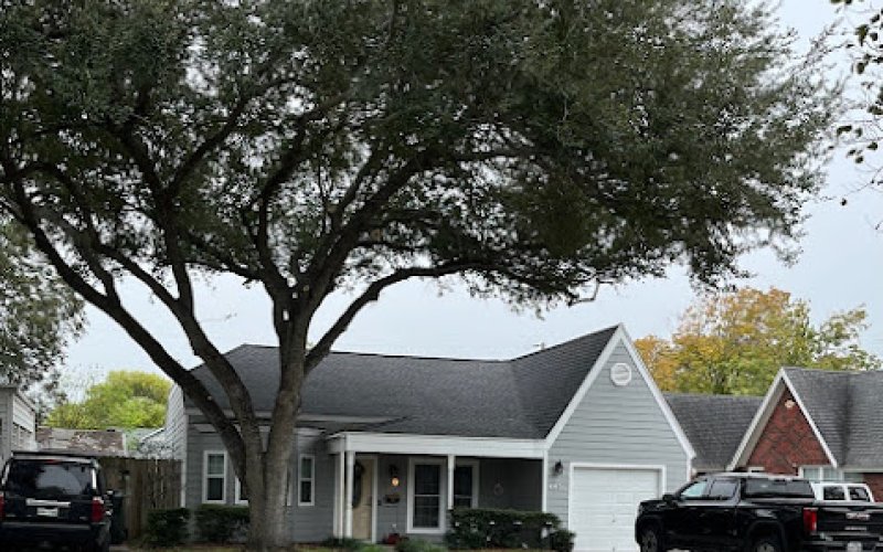 Tree Care Express and Services