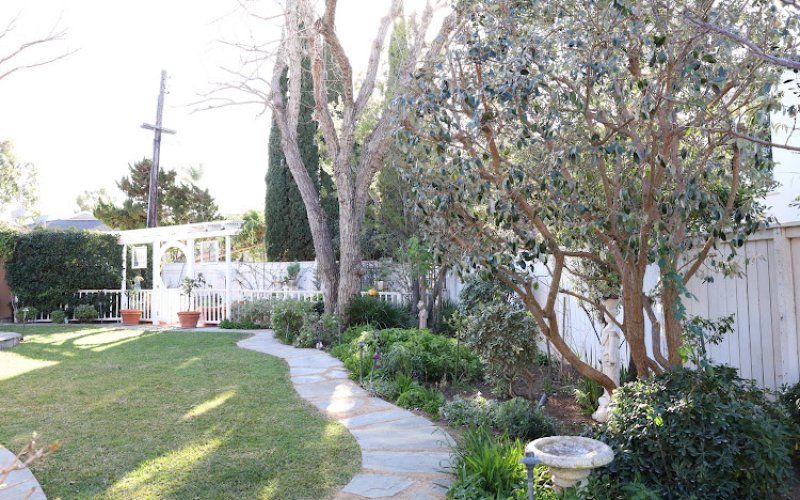 Arkadia Tree Services — Tree service in Costa Mesa