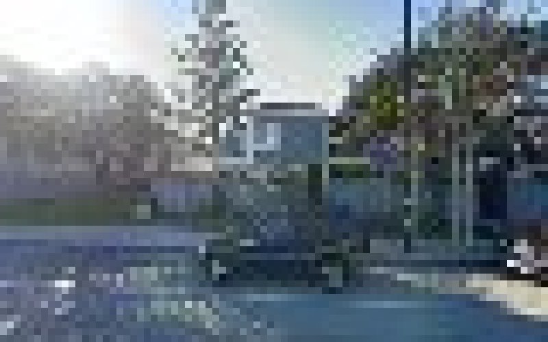 Verde tree service — Tree service in Costa Mesa