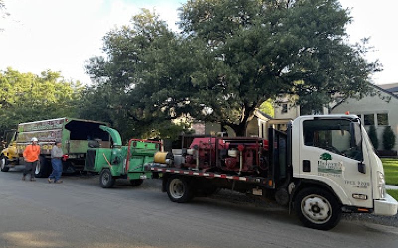 Holcomb Tree Service