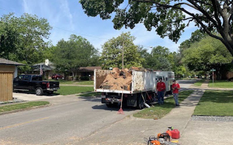 Texas Tree Transformations