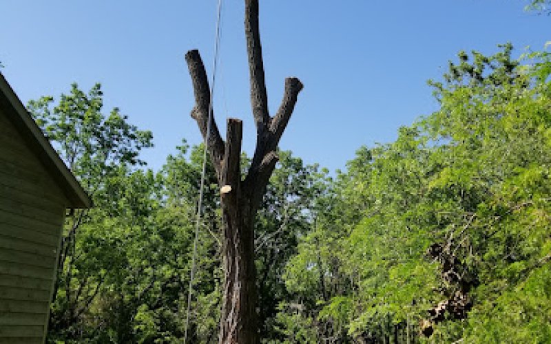 Hawkeye Tree Service