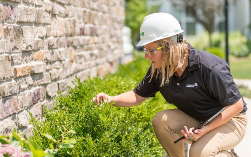 The Davey Tree Expert Company