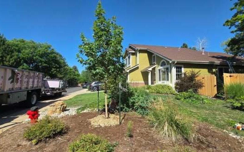 Arbortec Tree Service