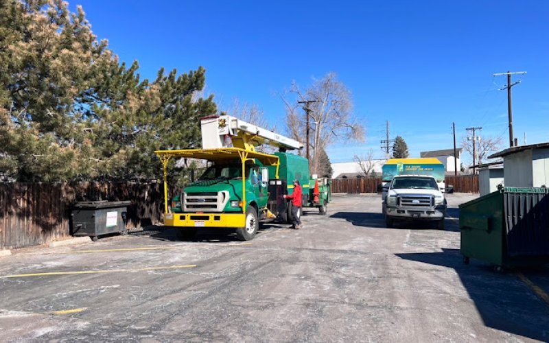 Colorado Premier Tree Care