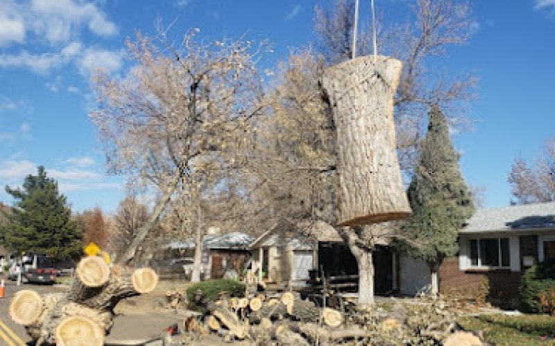Fir Sure Arbor Pro LLC