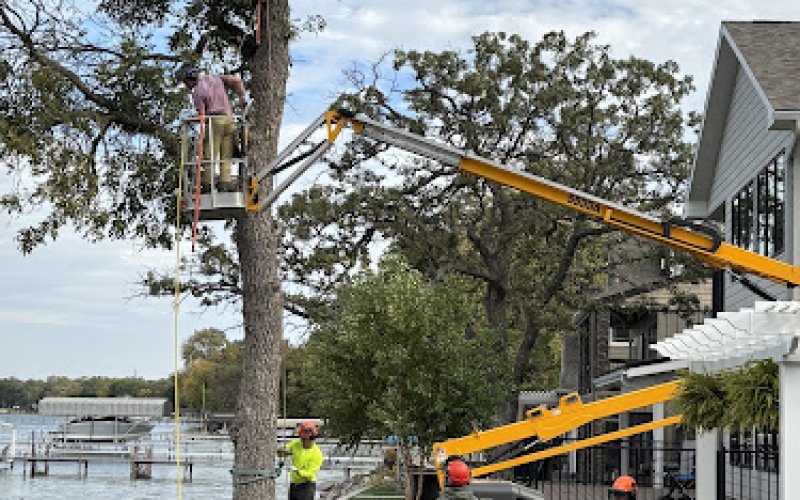 Capital Tree Company — Tree service in Des Moines