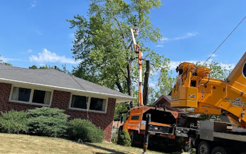 Central Tree Pros — Tree service in Des Moines